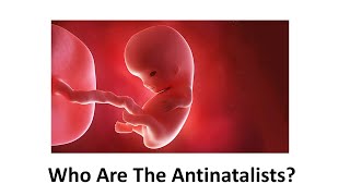 Who Are The Antinatalists Why Should We Care [upl. by Eadith834]