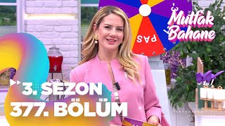 Mutfak Bahane 3 Sezon 377 Bölüm [upl. by Spillar]