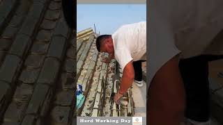 The Process Of Installing Gold Tiles On The Roof [upl. by Faludi21]