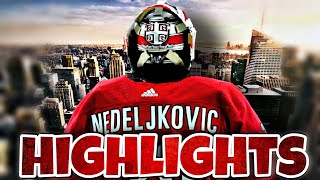 Underated Alex Nedeljkovic Highlights [upl. by Durwyn157]