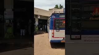 apsrtc super luxury bus vs super luxury bus Vijayawada bus stand apsrtc bus [upl. by Norrat]