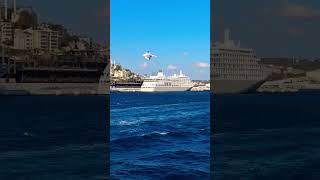 One city two continentsBosphorus cruiseshorts [upl. by Elleinod]