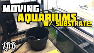 Moving Aquarium w Water Fish Substrate and Plants  Starring Ropefish [upl. by Ahsenar934]