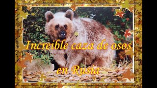 Inusual caza de osos en Rusia Hechos reales [upl. by Deste]