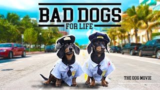 BAD DOGS FOR LIFE  The Wiener Dog Bad Boys Movie [upl. by Ytok]