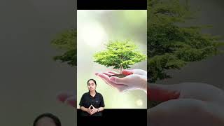 What is Liquid tree🌳 ये पेड़ चल भी सकता है shorts amazingshortsinhindi c3shorts [upl. by Jerald749]