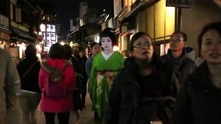 The Beauty of Geisha in Kyoto Japan [upl. by Yelwah]