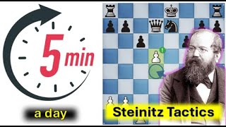 5 mins a day  Steinitz tactics [upl. by Gerrie]