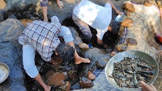 मासे पकडण्यासाठी घेतली पहिल्यांदा इतकी मेहनत बनवली भन्नाट रेसिपी Traditional fishing [upl. by Albright]