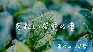 【超高音質・立体音響】きれいな雨の音（ほぼ他の音無し2時間Ver）！読書 睡眠 瞑想用bgm [upl. by Jaal]