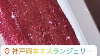 6月店内動画【神戸岡本エスランジェリー】2024最新ランジェリーフィーリング💫インポートランジェリーショップ💫ランジェリーショップ💫ランジェリーの世界へ誘われる6月ランジェリーショップ [upl. by Odnumyer]