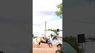 horse rodeo horseriding horselover equestrian alk00n soundhorse animalsounds cowhorse [upl. by Htidirem448]