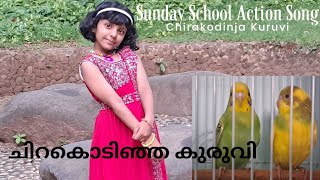 Chirakodinja Kuruvi  Sunday School Action SongsundayschoolmalayalamsongchristianLincy Janeesh [upl. by Aniretac]