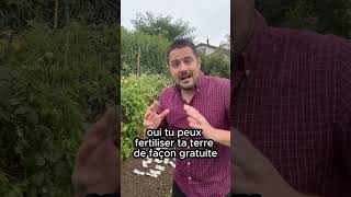 Astuces Simples pour Enrichir Votre Sol de Potager Naturellement [upl. by Sello]