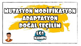 Mutasyon Modifikasyon Adaptasyon  LGS Kampı [upl. by Jews]