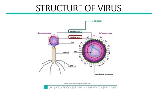 331 Akaryotes and structure of viruses [upl. by Meehar]