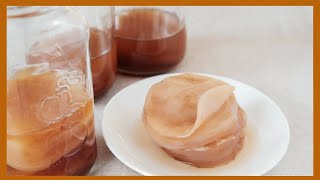 How to Make KOMBUCHA Scoby from Scratch [upl. by Sedberry]