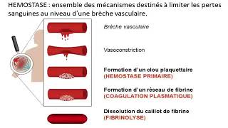 Hemato 08La physiologie de l’hémostase Dr Abbadi [upl. by Lucia]