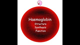 Part 3 Haemoglobin  Structure Synthesis Types and Function [upl. by Aicekan]