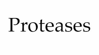 How to Pronounce Proteases [upl. by Onairot]