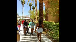 Mandalay Bay Beach stroll Wayfarer RayBan edition Las Vegas Strip Nevada 2023 thekingofbakersfield [upl. by Sansone]