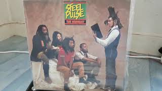 STEEL PULSE  LEGGO BEAST  DISQUES VINYLES [upl. by Chaddie863]