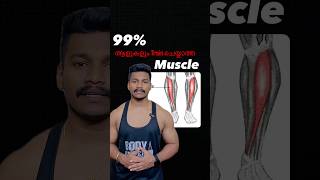 Are you regularly training your Tibialis Anterior Muscleworkout fitness gym bodybuilding [upl. by Onilegna172]