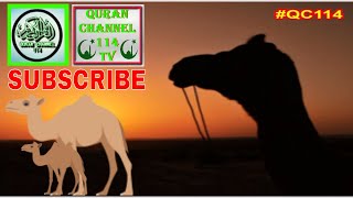 Qisadii Nabi Saalax CS AfSomali  Sheikh Hassan Ibrahim Quran ChannelQC114QuranChannel114 TV [upl. by Attelrak]