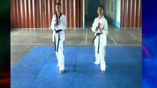 Basic Kicks for White Belts  Club Taekwondo [upl. by Harriett]