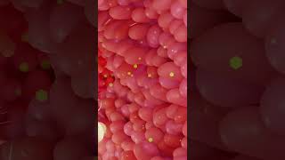 3D ANIMATION of the DIGESTIVE SYSTEM  Youve NEVER seen this before [upl. by Berget]