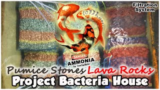 Pumice Stone Lava Rock Filter Media  How Biological Pond Filter Works [upl. by Child]