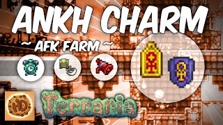 Terraria AFK Megaphone Fast Clock Trifold Map amp Blindfold Farm Ankh Charm Series 2 [upl. by Truitt]