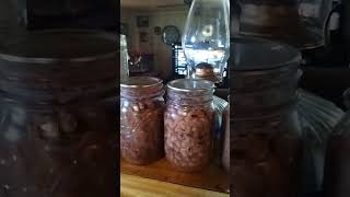 Canning dry pintos  kidney beans  blackeyed peas [upl. by Sugna]