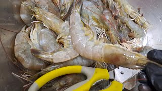 Cleaning amp Deveining Shrimp wow cuttingtutorial simpletipsAling tindera vlogs [upl. by Yokoyama]