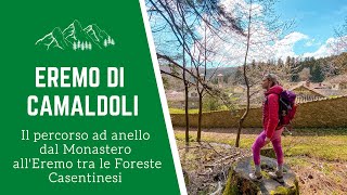 Eremo di Camaldoli come arrivare  Il percorso trekking ad anello dal Monastero al Sacro Eremo [upl. by Avilla]