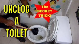 HOW TO UNCLOG A TOILET with a PLUNGER How to Use a Plunger Like a Champ [upl. by Dielu]