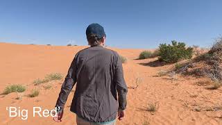 VanTales Trip Week Ten  BirdsvilleBig Red [upl. by Meerek169]