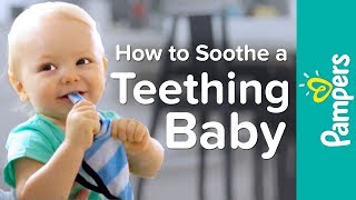 Baby Teething Remedies How to Soothe a Teething Baby  Pampers [upl. by Laeahcim]