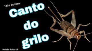 Canto do grilo localizando  Song of the cricket [upl. by Eanel]