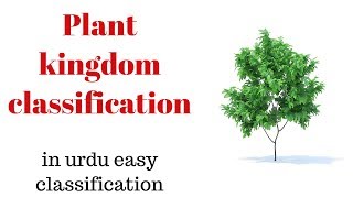 Classification of Plants  Kingdom Plantae Classification in Urdu\Hindi [upl. by Lissy482]