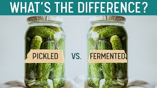 PICKLING vs FERMENTING  Whats the Difference Quick Grocery Store ID [upl. by Giamo313]