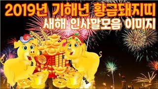 2019년 기해년 황금돼지띠2019년 새해 인사말 추천 새해 인사말모음 이미지 [upl. by Anirad]