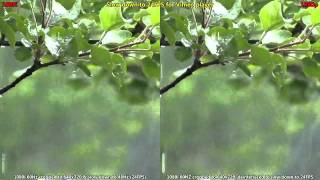 1080i vs 1080p on Vimeoflv [upl. by Sacha]