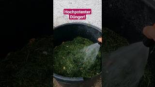 3 Möglichkeiten Rasenschnitt im Garten sinnvoll zu nutzen [upl. by Lledra397]