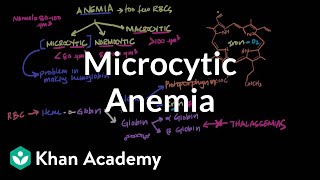 Microcytic anemia  Hematologic System Diseases  NCLEXRN  Khan Academy [upl. by Nav909]