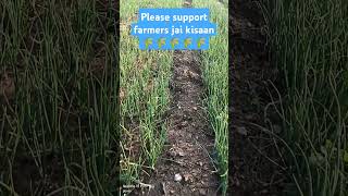 Please subscribe to farmers channel [upl. by Crofoot]