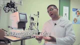 Ciencia Y Salud Moscas Volantes [upl. by Ingram818]