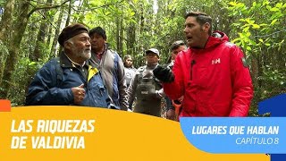 Lugares que Hablan  Temporada 2020  Capítulo 8  Valdivia [upl. by Egroej769]