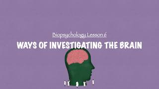 ALevel Psychology AQA Biopsychology  Ways of Investigating the Brain [upl. by Audras650]