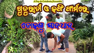 1st Time in Life Cardamom Farm Visit  Cottabetta Ellaichi And Coffee Garden  Dangerous leach [upl. by Portuna542]